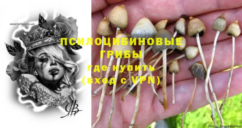 Галлюциногенные грибы Magic Shrooms  Власиха 